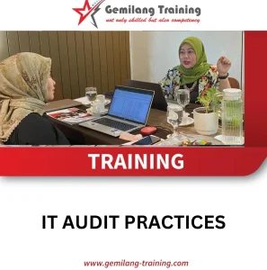 TRAINING IT AUDIT PRACTICES