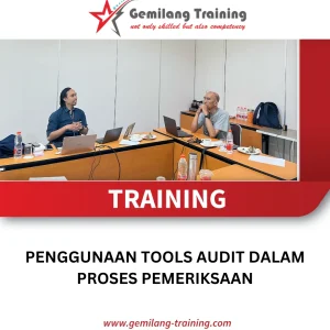 TRAINING PENGGUNAAN TOOLS AUDIT DALAM PROSES PEMERIKSAAN