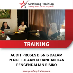 TRAINING AUDIT PROSES BISNIS DALAM PENGELOLAAN KEUANGAN DAN PENGENDALIAN RISIKO