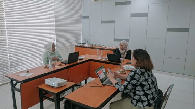 TRAINING CISA FOR IT AUDITOR