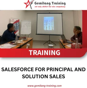 Training Salesforce for Principal